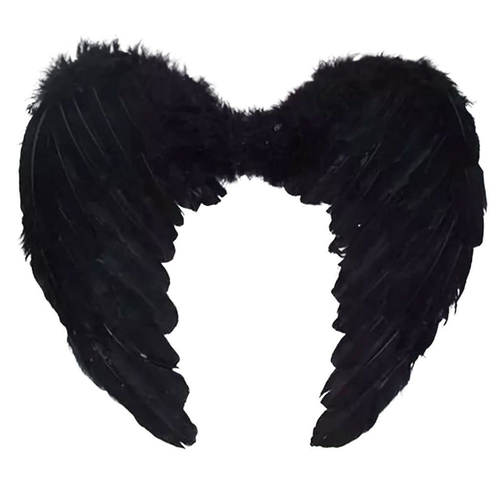 Angel Wings - Large Down Turned